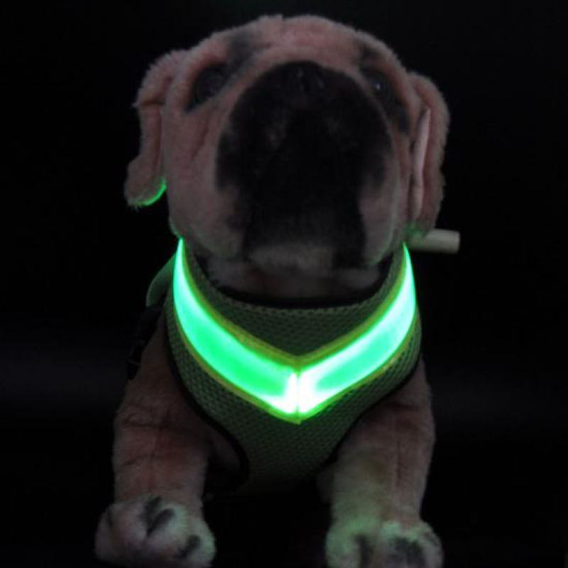 Coleira LED para Cães com 3 Modos de Piscar e Bateria Duradoura P / azul