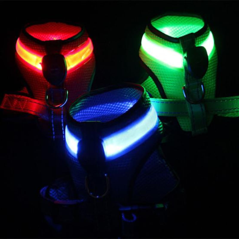 Coleira LED para Cães com 3 Modos de Piscar e Bateria Duradoura P / azul