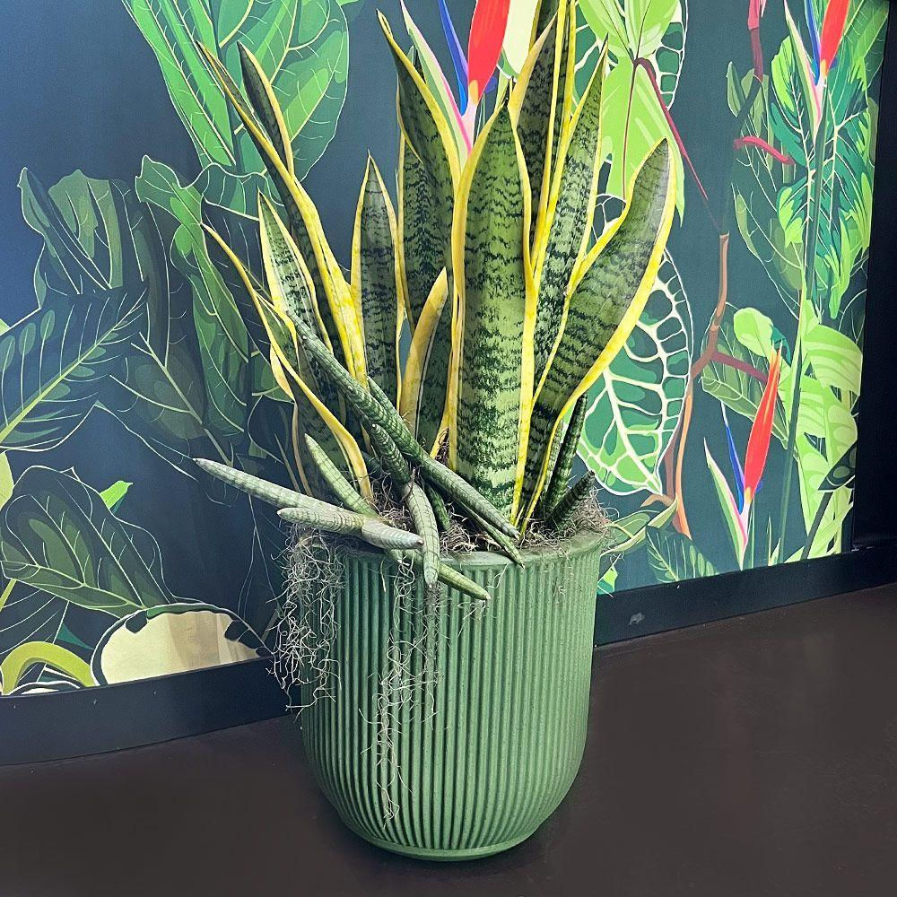 Vaso Sp27 29 X 29 Cm Cor 53 - Oliva Artstone