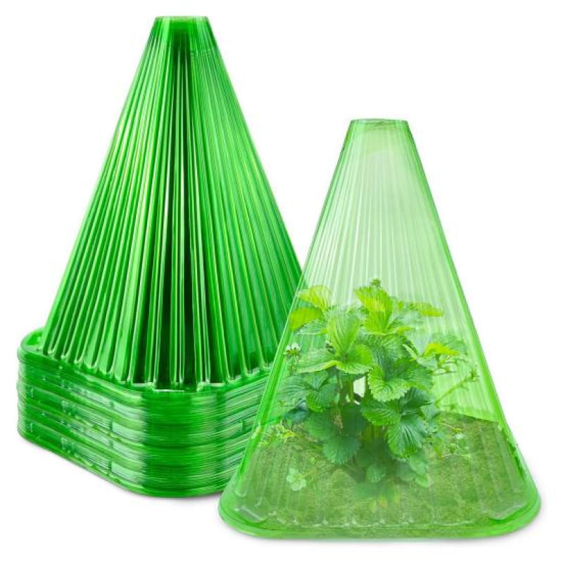 10 Peças de Capas Transparentes para Plantas em PET Reutilizáveis transparente