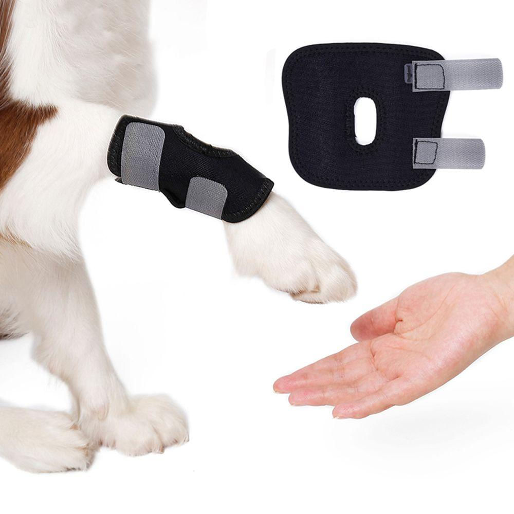 Protetor de Joelho Respirável para Cães - Suporte para Patas