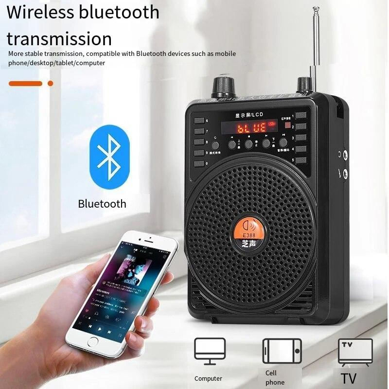 Amplificador Bluetooth com Microfone Sem Fio 48W para Professores e Guias Com fio - Reino Unido