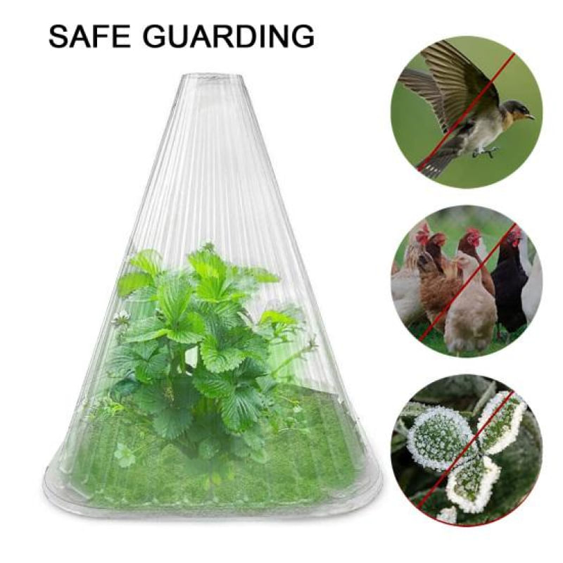 10 Peças de Cobertura Transparente para Plantas em PET Reutilizável transparente