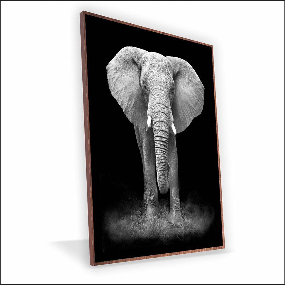 Quadro Elefante Canvas Sem Vidro Tamanho-moldura 120x80 Caixa Cor Madeira