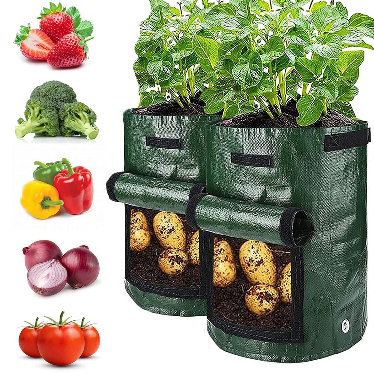 Bolsas de Cultivo Inteligentes para Batatas 5/10 Galões