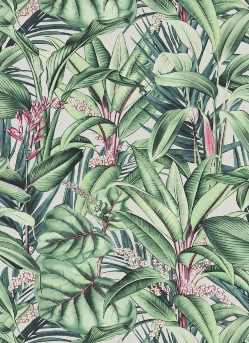 Papel de Parede Raízes Tropical 1012207 Tam. 4m² Papel de Parede Raízes Tropical 1012207