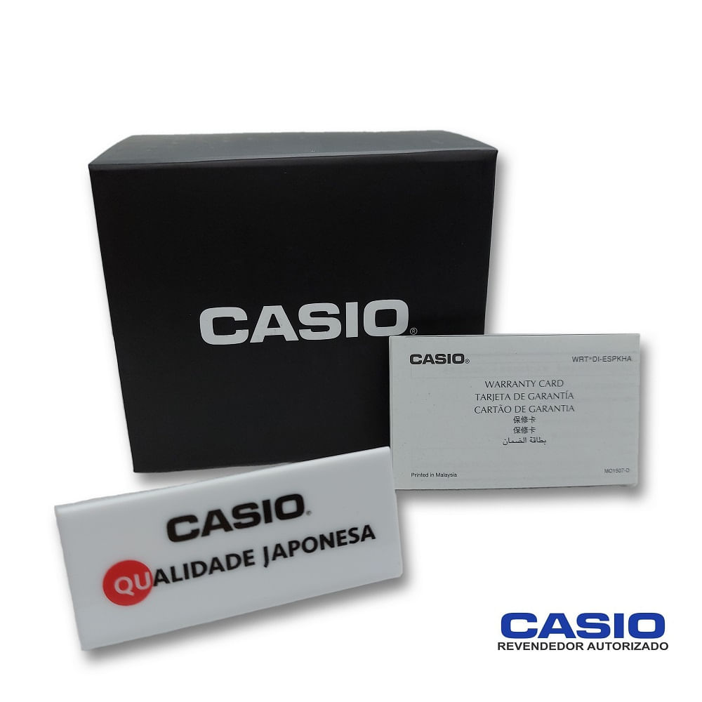 RELOGIO CASIO WS-1300H-1AVDF-SC