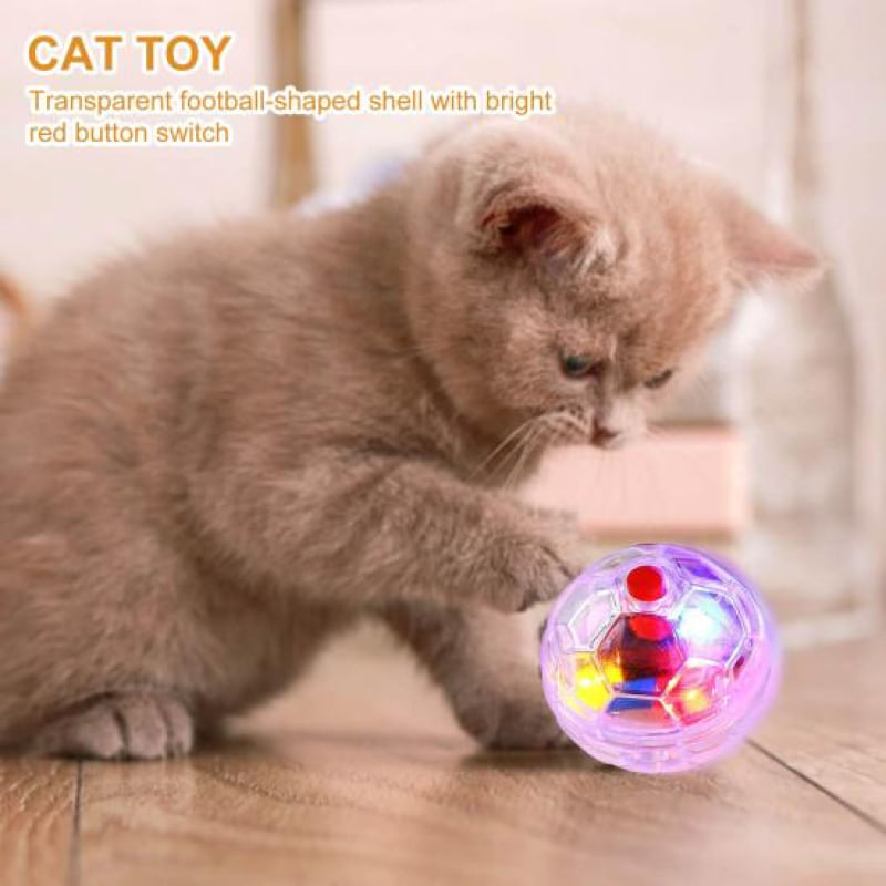 Brinquedo Interativo para Pets Bola Plástica Transparente