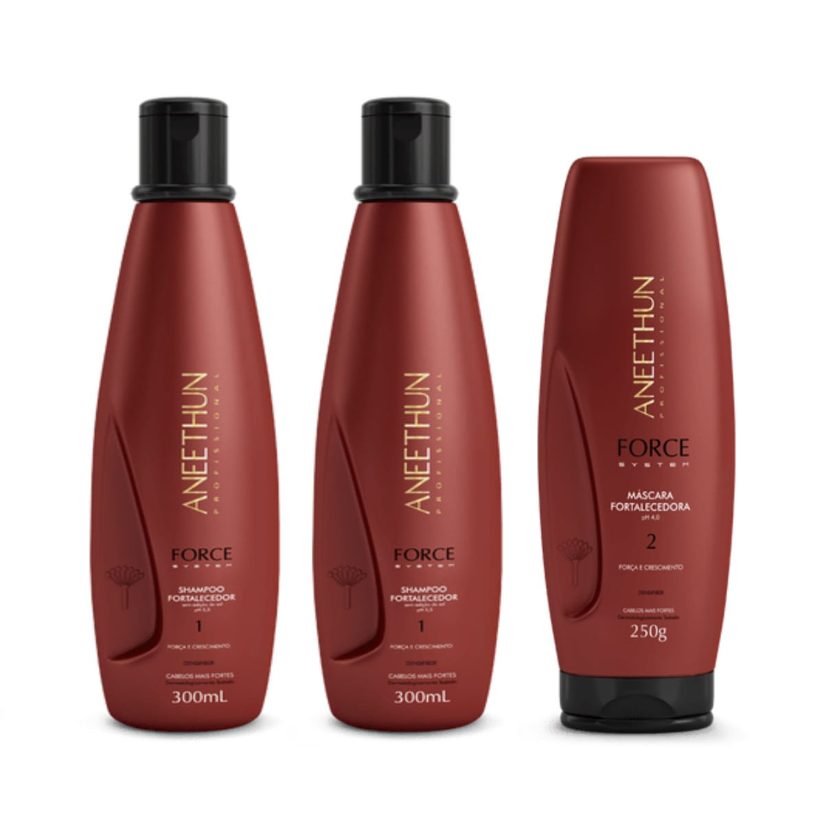 Kit Aneethun Force System 2 Shampoos 300ml + Máscara 250g