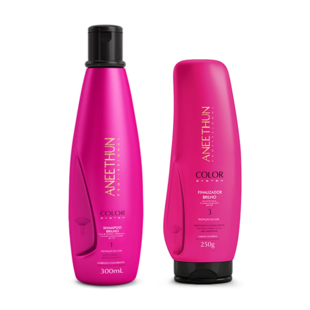 Kit Aneethun Color System Shampoo 300ml + Finalizador 250g