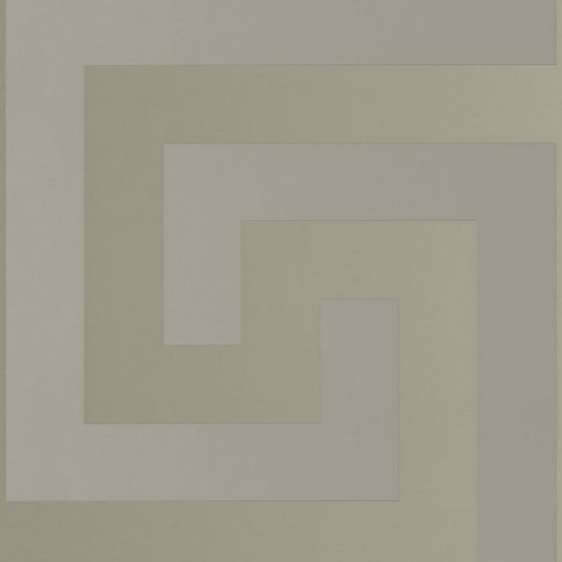 Papel de Parede Versace V Geométrico Cinza 386092