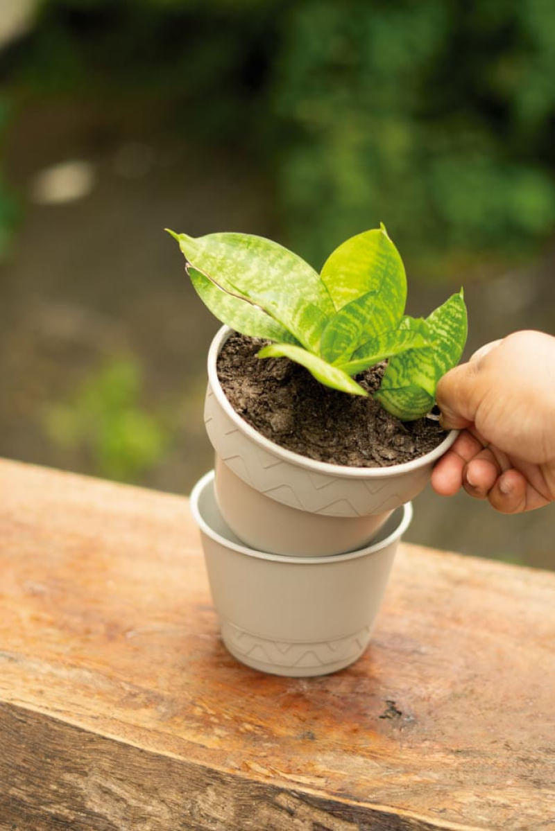 Vaso 2 em 1 10cm Branco Antigo