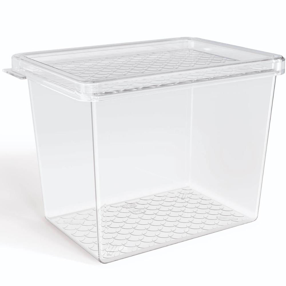 Organizador de Geladeira Multiuso Cozinha 1,3L com Tampa Transparente Frutas Verduras UZ