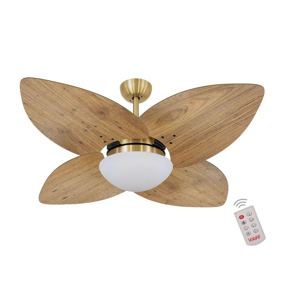 Ventilador De Teto Dourado 4 Pás Rádica Imbuia 220V