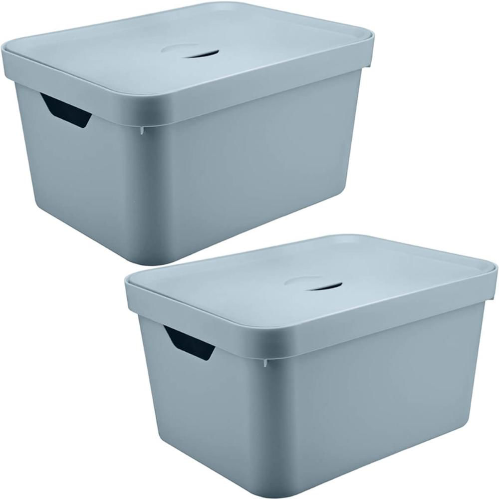 2 Caixas Organizadoras 32L Organizadores Brinquedo Closet OU