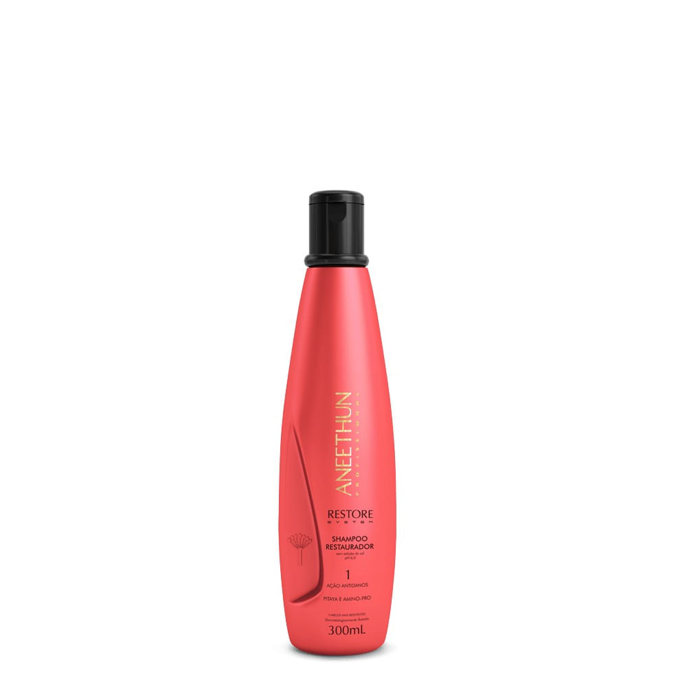 Aneethun Shampoo Restaurador Restore System 300ml