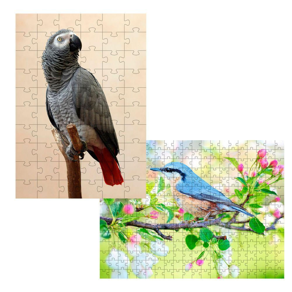 2 Quebra-cabeças Inclusivos 40 Peças Aves Belas Para Mentes Inteligentes