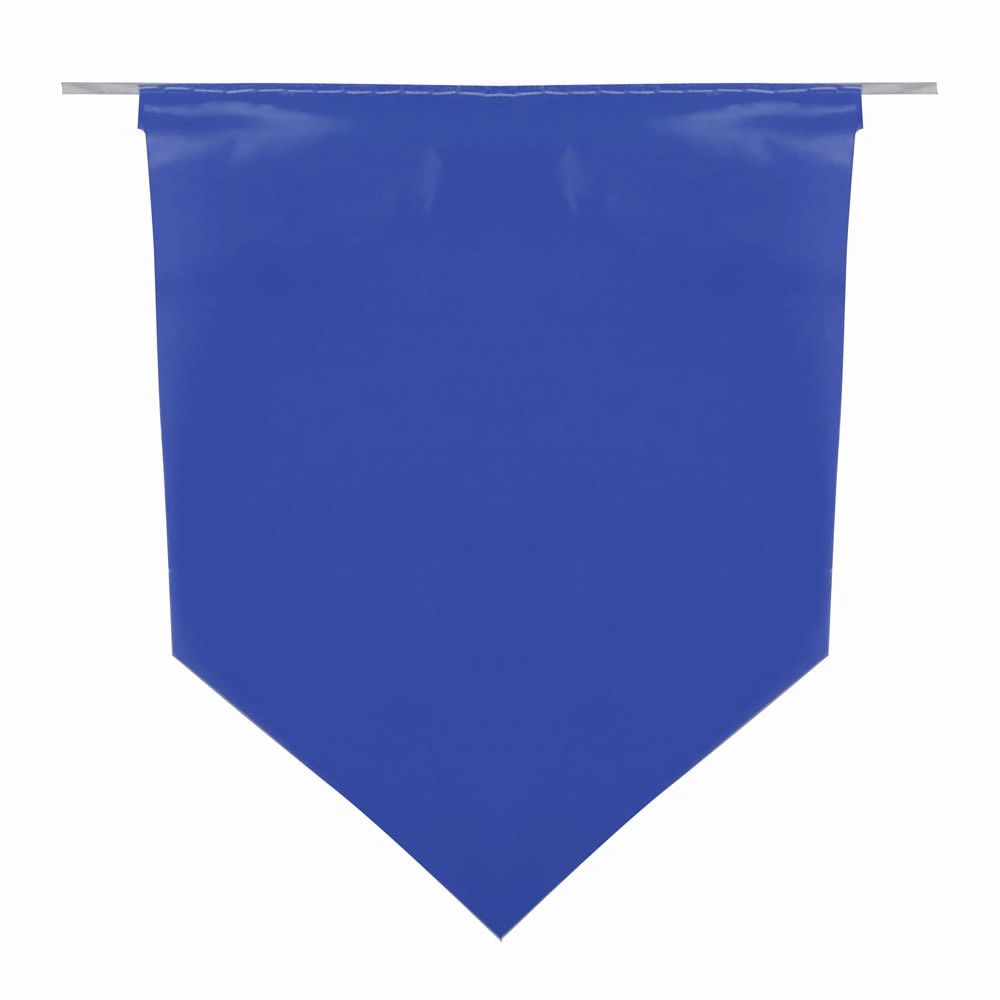 Bandeirola Plástica Luiz Gonzaga 10m com 21 Unidades 17x23cm