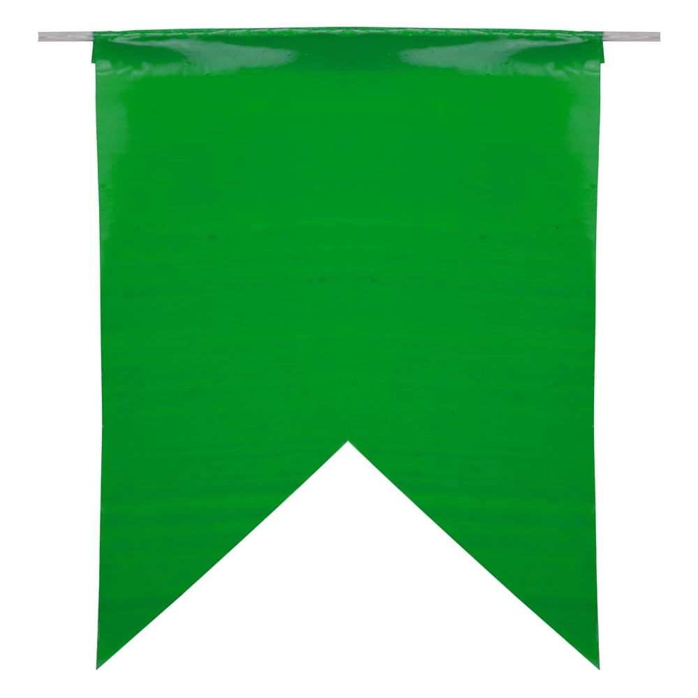 Bandeirola Plástica Luiz Gonzaga 10m com 21 Unidades 17x23cm