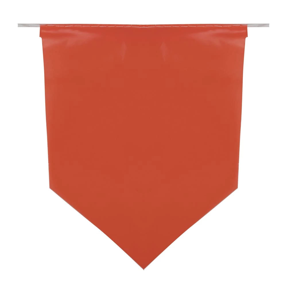 Bandeirola Plástica Luiz Gonzaga 10m com 21 Unidades 17x23cm
