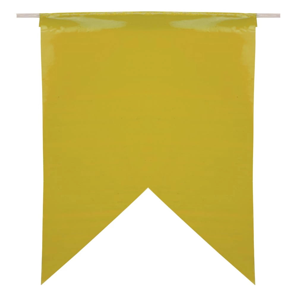Bandeirola Plástica Luiz Gonzaga 10m com 21 Unidades 17x23cm