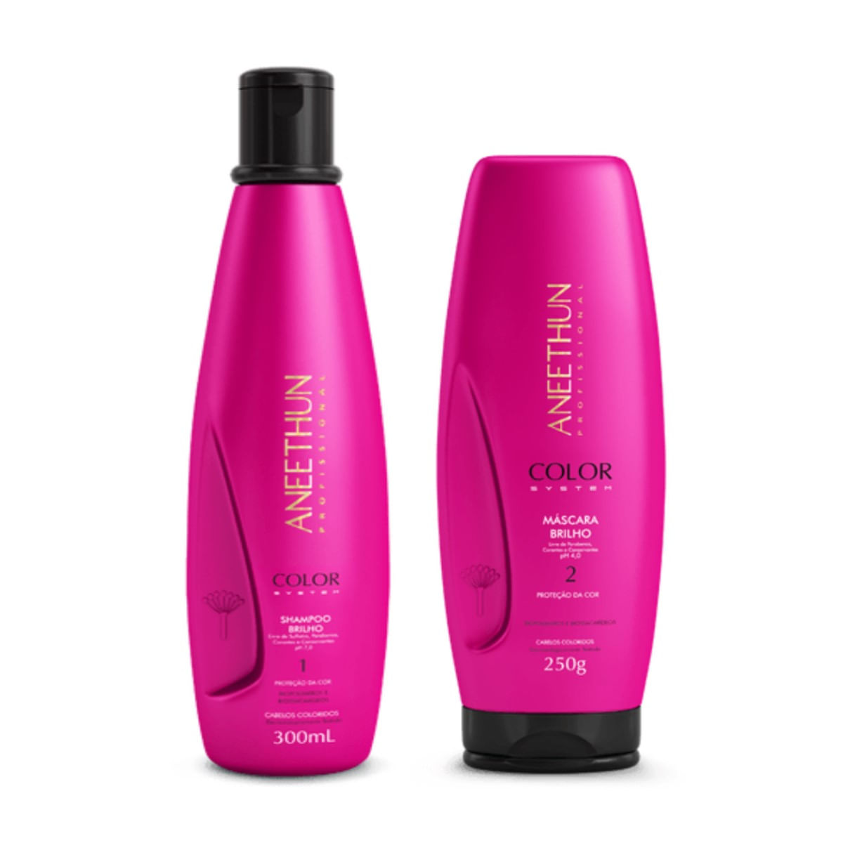 Kit Aneethun Color System Shampoo 300ml + Máscara 250g