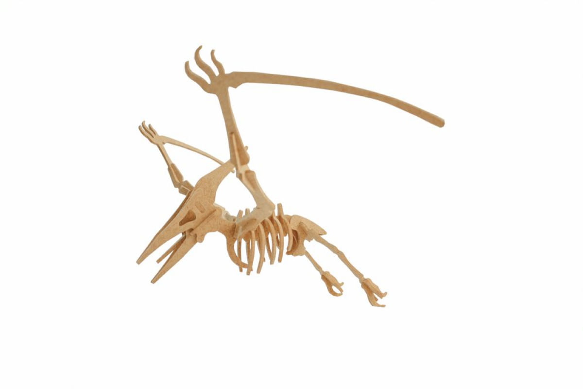 Quebra-Cabeça 3D Pteranodon 23 Peças - Dinobrinque