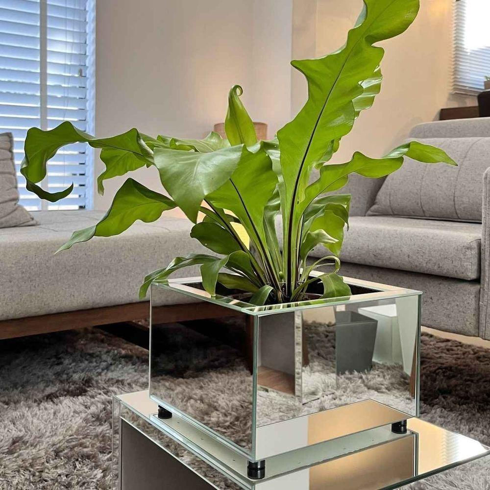 Vaso Espelhado Ivy Pequeno